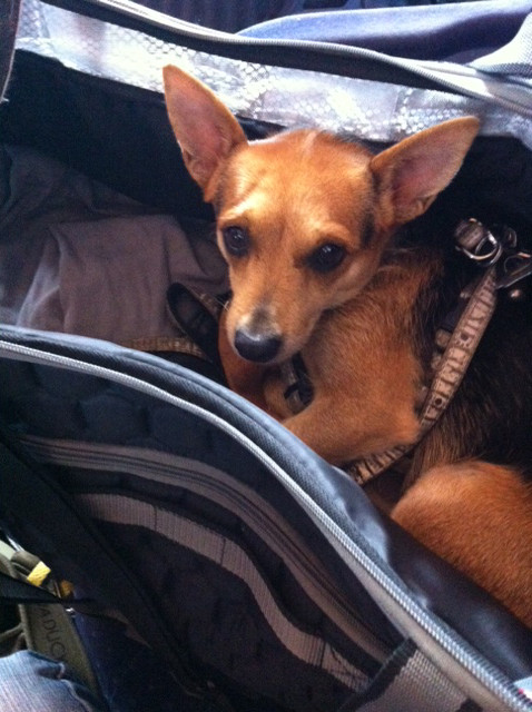 miro 10 20140114 1750339189 miro 10 20140114 1750339189