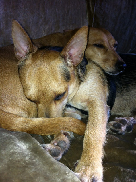 miro 1 20140114 2078319975 miro 1 20140114 2078319975