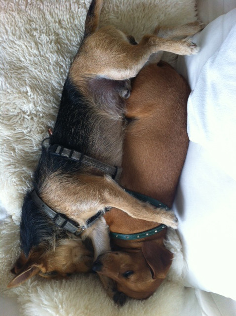 miro 2 20140114 1992854425 miro 2 20140114 1992854425