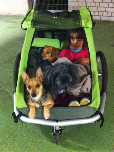 miro 4 20140114 1215494690 miro 4 20140114 1215494690