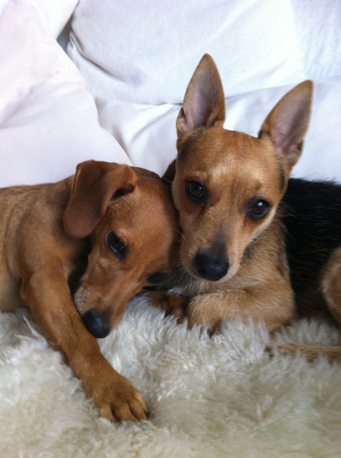 miro 4 20140114 1357847597 miro 4 20140114 1357847597