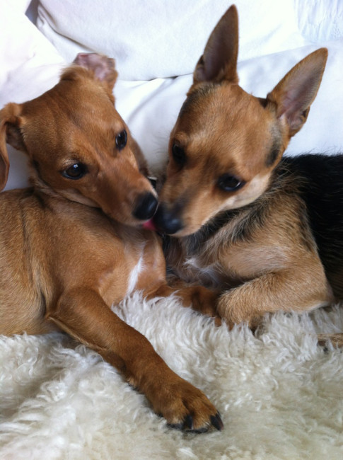 miro 5 20140114 1759210740 miro 5 20140114 1759210740