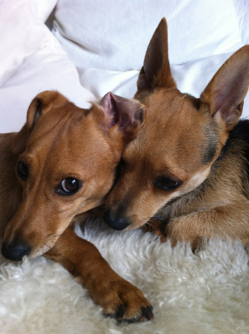 miro 6 20140114 1341907592 miro 6 20140114 1341907592