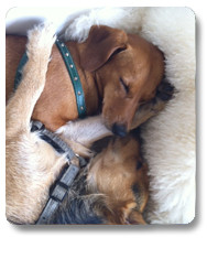 miro 7 20140114 1157811420 miro 7 20140114 1157811420