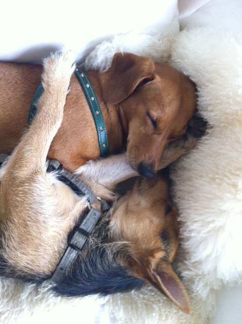 miro 8 20140114 1034758908 miro 8 20140114 1034758908