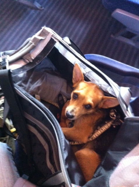 miro 9 20140114 1232124724 miro 9 20140114 1232124724