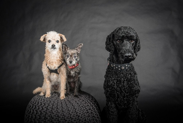 stella 3 20140404 1597810128 stella 3 20140404 1597810128