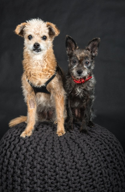 stella 4 20140404 1727006784 stella 4 20140404 1727006784