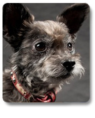 stella 6 20140404 1836485341 stella 6 20140404 1836485341