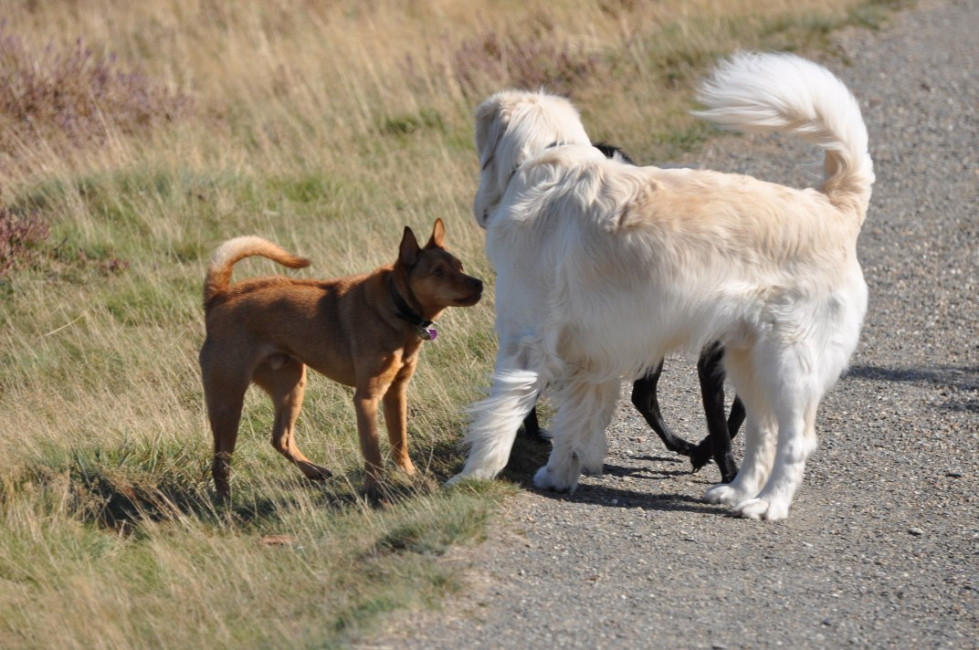 divo 1 20130610 1204255630 divo 1 20130610 1204255630