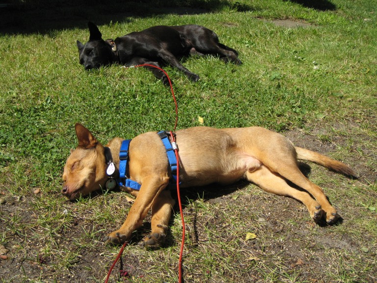 divo 2 20130610 1839051960 divo 2 20130610 1839051960