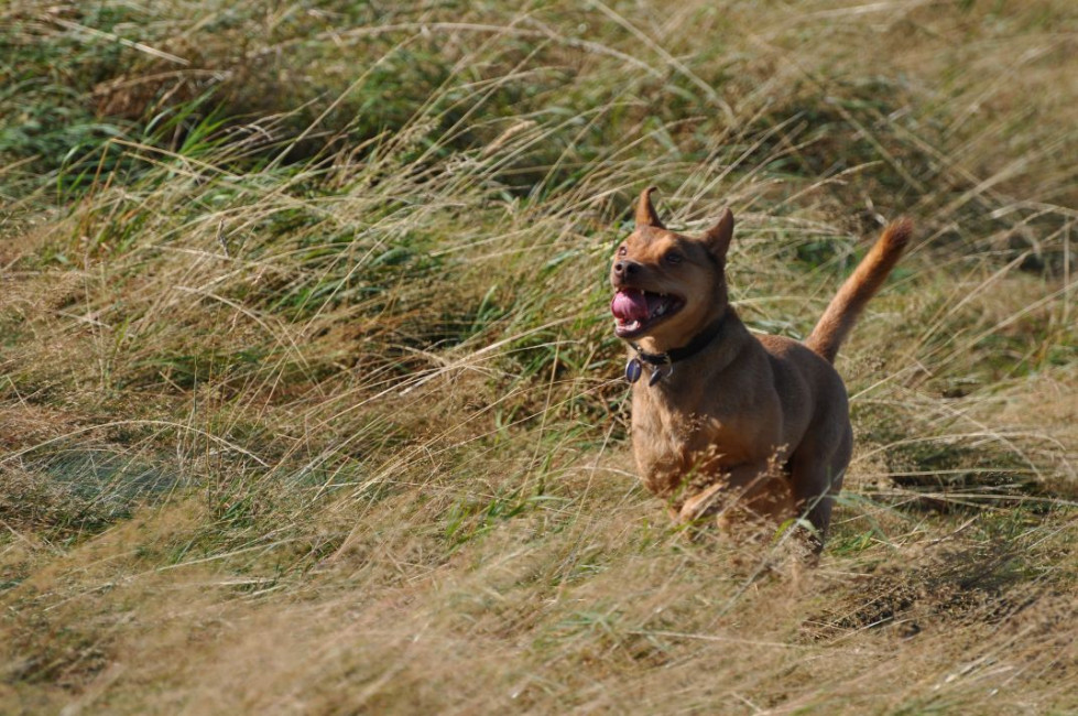 divo 3 20130610 1201033048 divo 3 20130610 1201033048