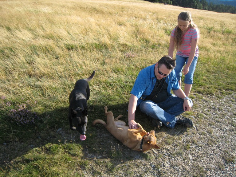 divo 3 20130610 1280194618 divo 3 20130610 1280194618