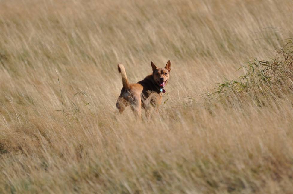 divo 4 20130610 1186501933 divo 4 20130610 1186501933