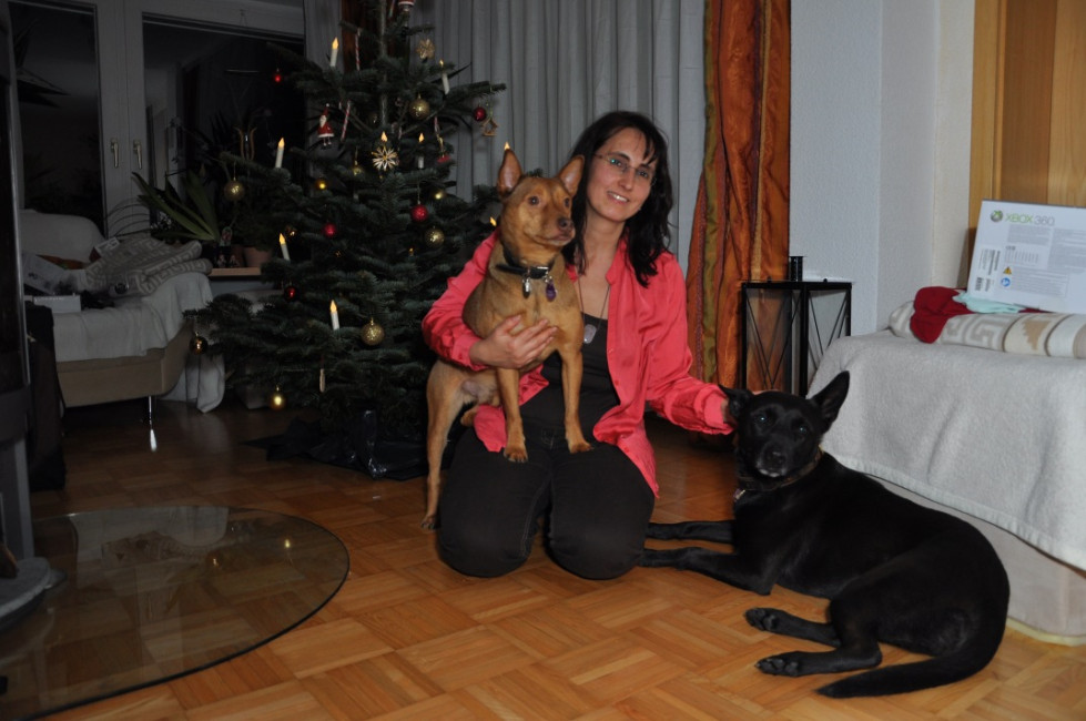 divo 5 20130610 1078386621 divo 5 20130610 1078386621