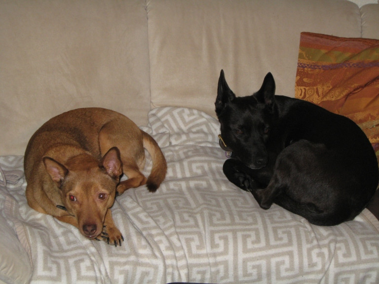 divo 6 20130610 1408324502 divo 6 20130610 1408324502