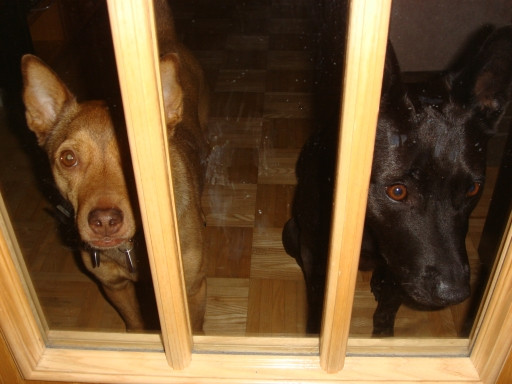 divo 6 20130610 1662076805 divo 6 20130610 1662076805