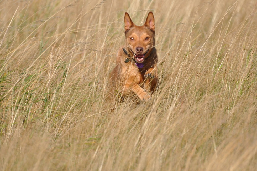 divo 7 20130610 1545799397 divo 7 20130610 1545799397