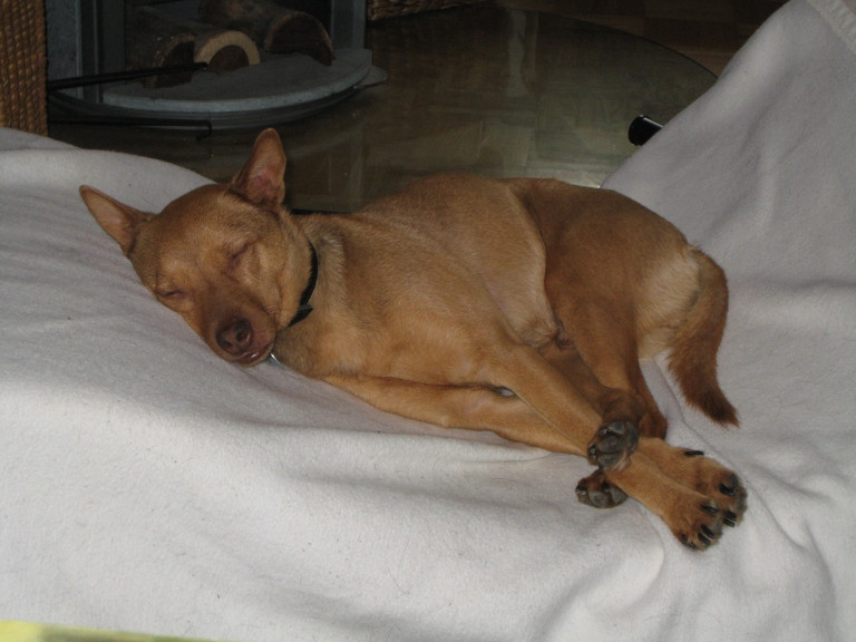 divo 7 20130610 1983295523 divo 7 20130610 1983295523