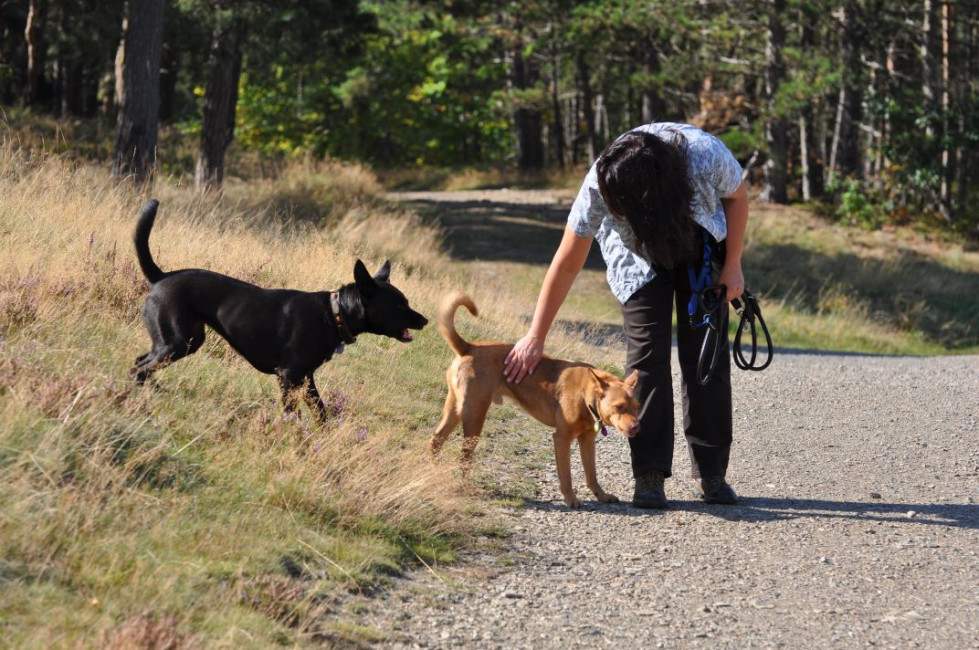 divo 8 20130610 1067479942 divo 8 20130610 1067479942