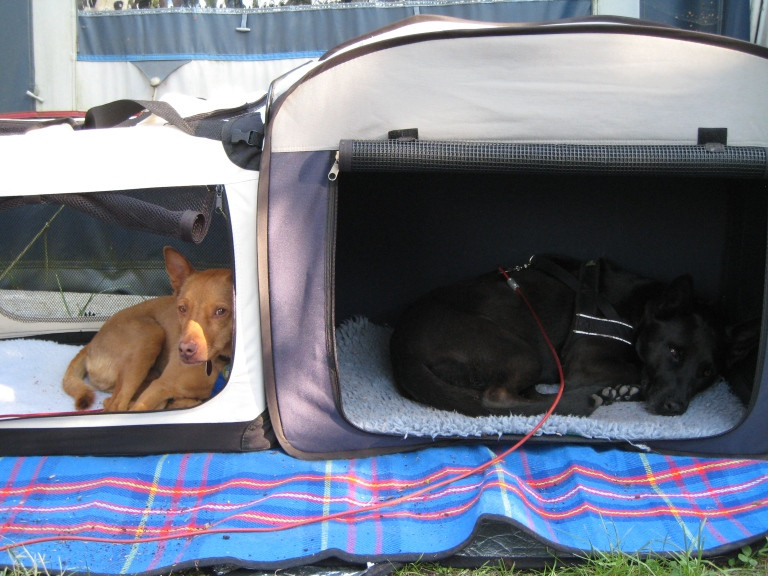 divo 8 20130610 2040617347 divo 8 20130610 2040617347