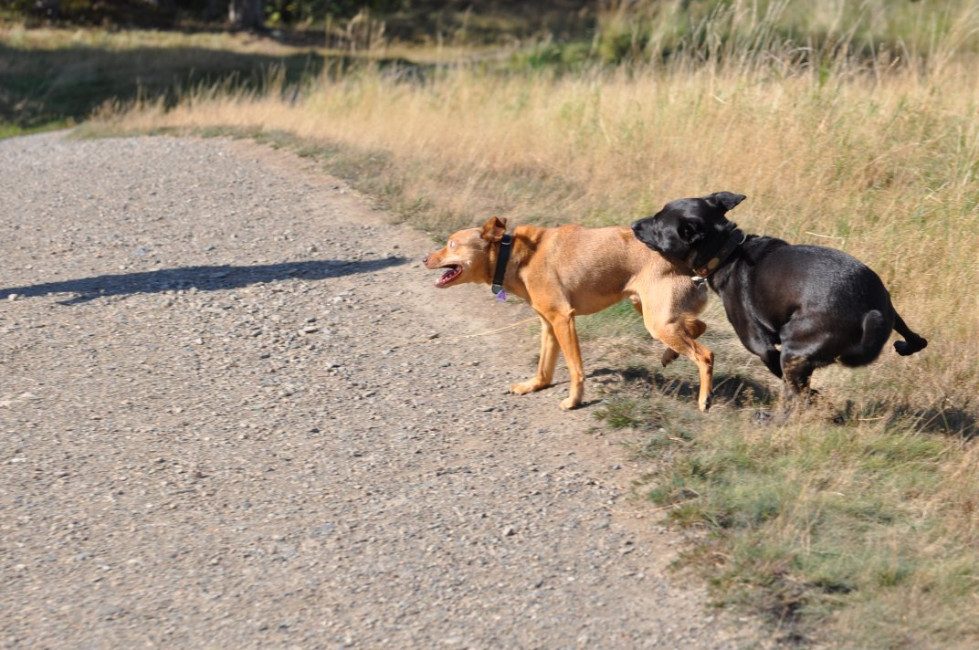 divo 9 20130610 1975328273 divo 9 20130610 1975328273