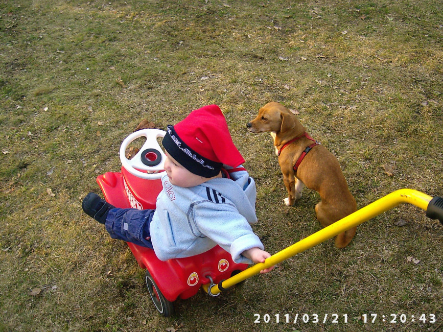 estrella 20110326 1404159471 estrella 20110326 1404159471