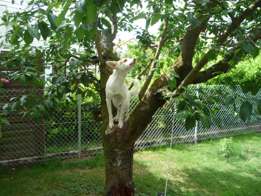 remo 4 20130710 1347227812 remo 4 20130710 1347227812