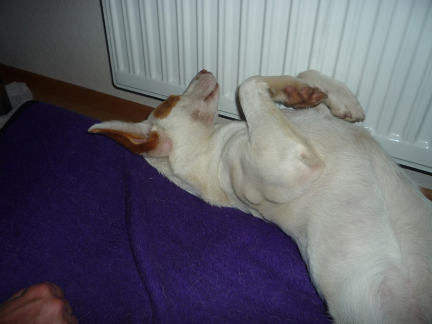 remo 5 20130710 1318002801 remo 5 20130710 1318002801