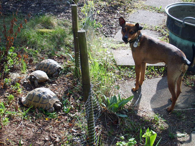 oskar 20101129 1296887616 oskar 20101129 1296887616