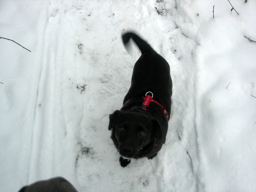 ronja 3 20120203 1823105826 ronja 3 20120203 1823105826