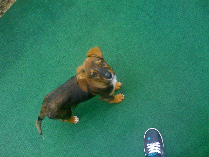 borris 20110215 2022283964 borris 20110215 2022283964