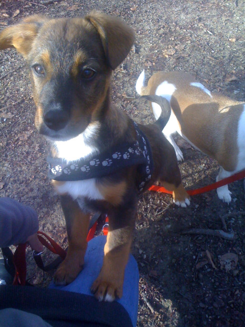 borris 20110222 1277594114 borris 20110222 1277594114