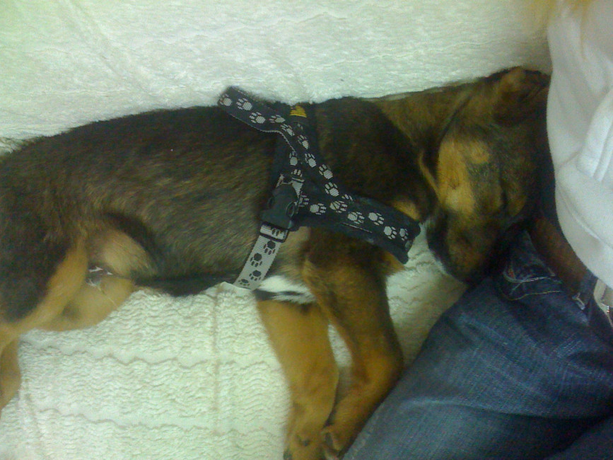 borris 20110222 1440654752 borris 20110222 1440654752