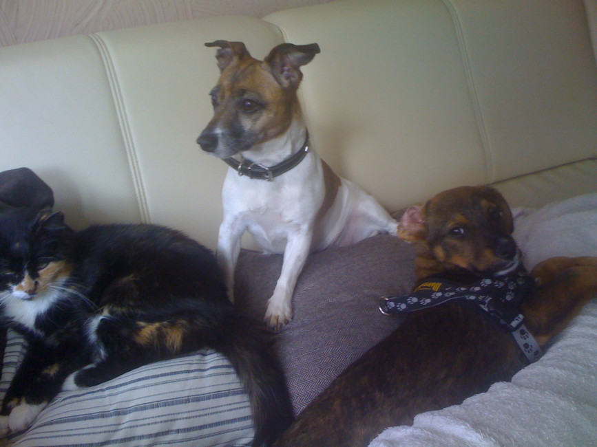 borris 20110222 1548453342 borris 20110222 1548453342