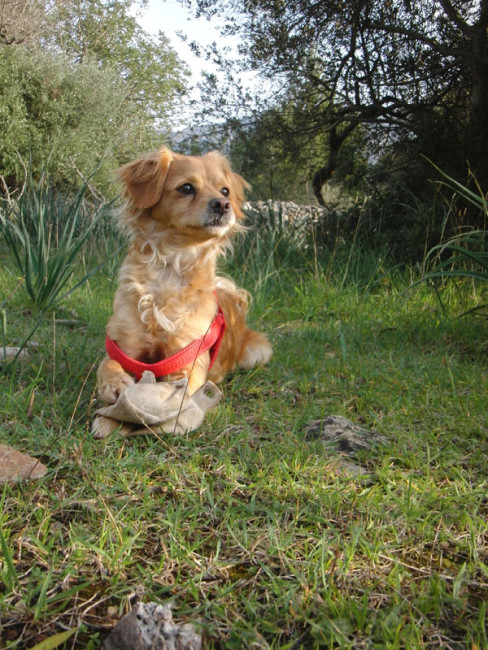 dina 20110404 1401643768 dina 20110404 1401643768