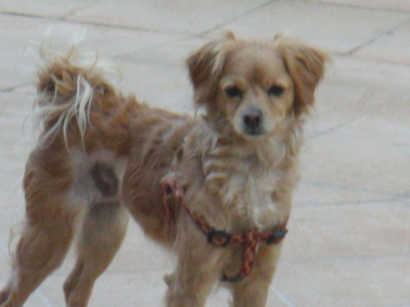 dina 20110404 1920289866 dina 20110404 1920289866