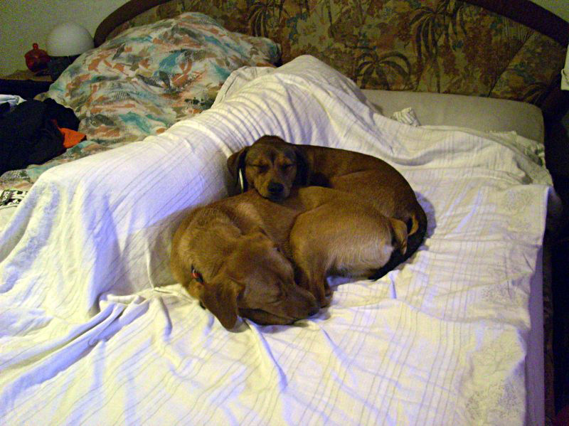 julchen und rosinchen 20110424 1497524000 julchen und rosinchen 20110424 1497524000