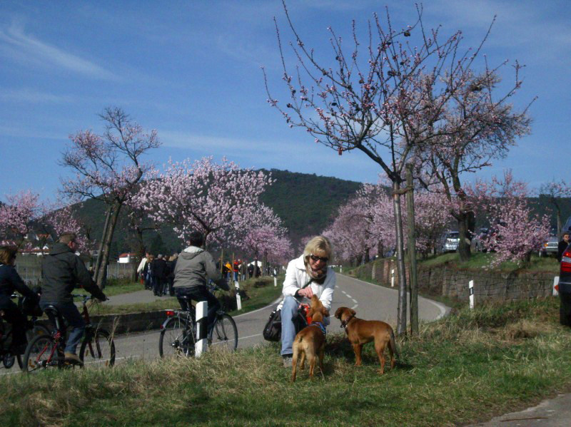 julchen und rosinchen 20110424 1511301020 julchen und rosinchen 20110424 1511301020