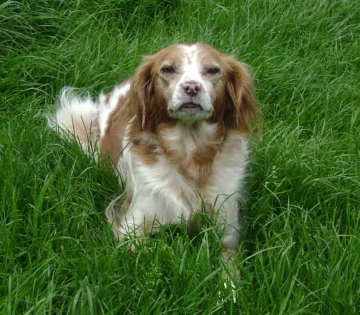 lisa 4 20110508 1060073391 lisa 4 20110508 1060073391