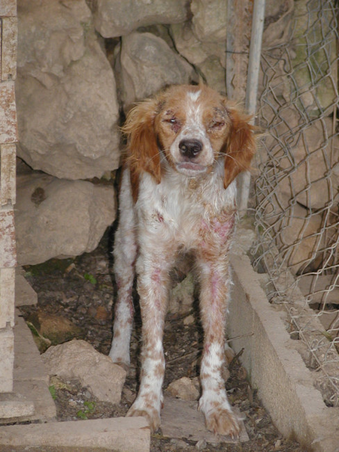 lisa 5 20110508 2003195534 lisa 5 20110508 2003195534