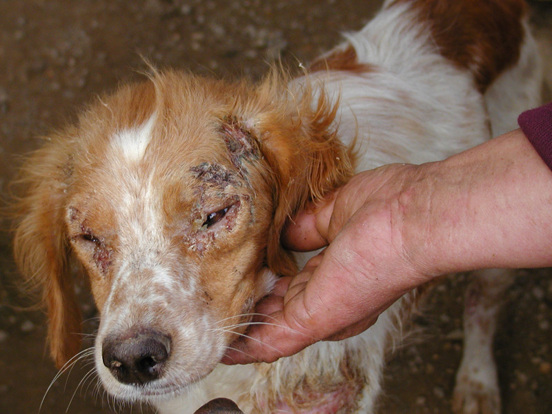 lisa 6 20110508 1622503318 lisa 6 20110508 1622503318