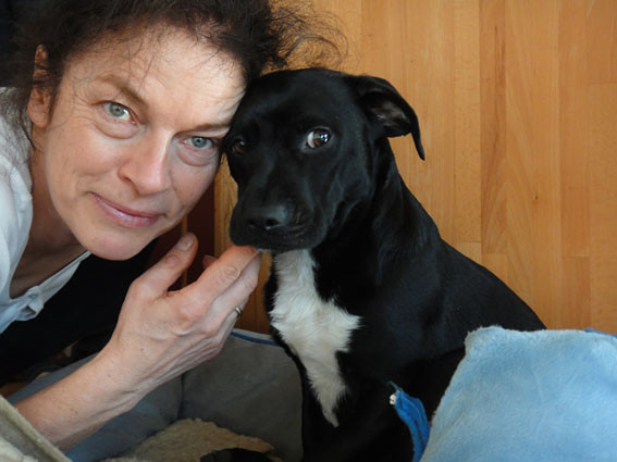 nino 20110210 1791780516 nino 20110210 1791780516