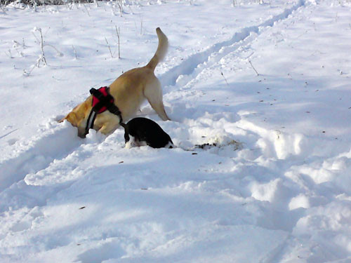 paula 20110318 1960321552 paula 20110318 1960321552
