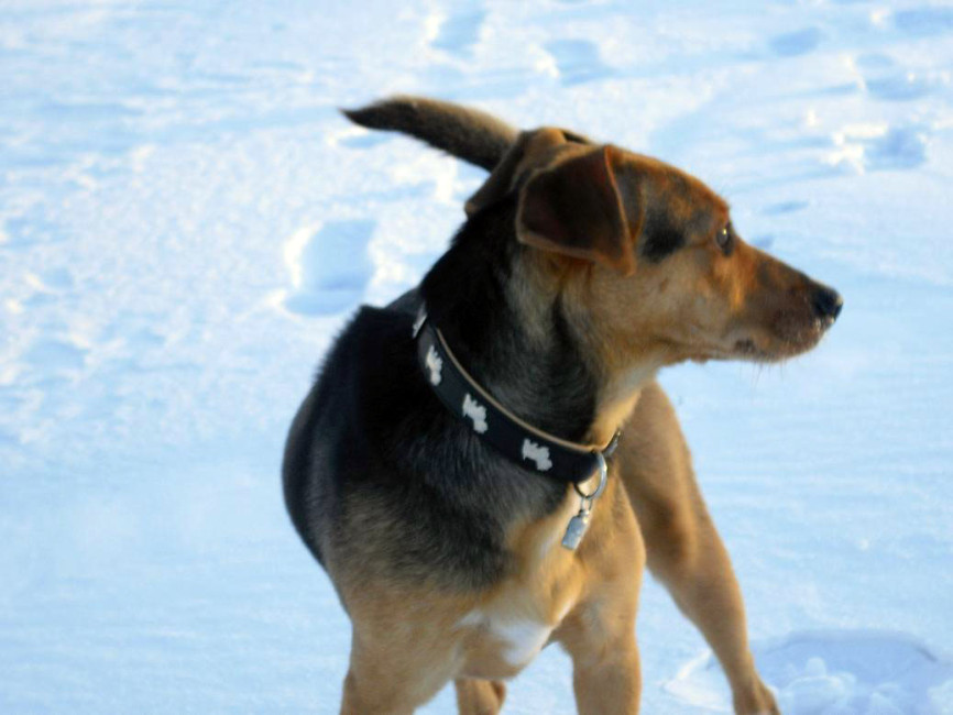 perrla 20110208 1867929756 perrla 20110208 1867929756