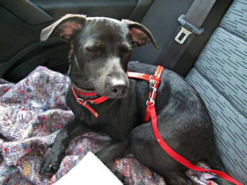 roeschen 20110421 1316265251 roeschen 20110421 1316265251