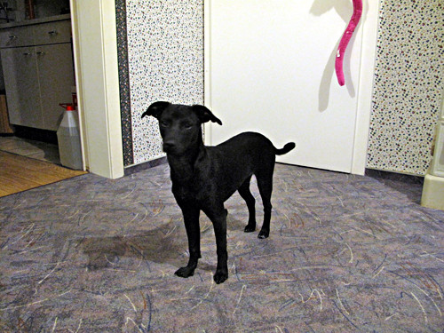 roeschen 20110421 1448333088 roeschen 20110421 1448333088