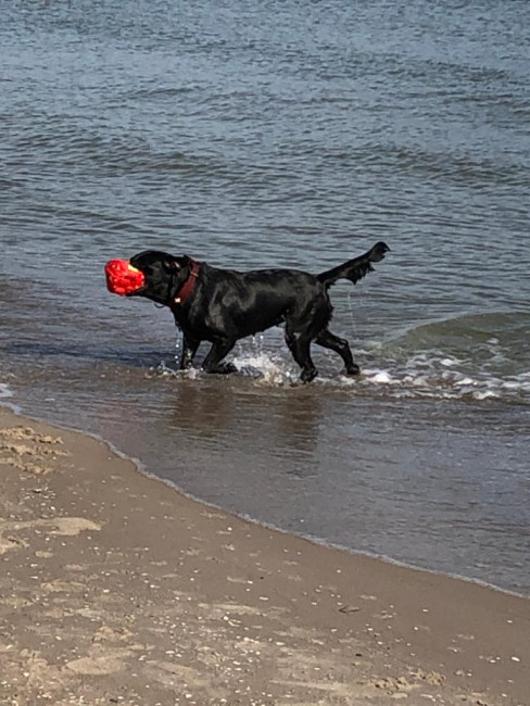 0d46ab8a 1c44 4902 8d2d 7e4f57751e6b 0d46ab8a 1c44 4902 8d2d 7e4f57751e6b