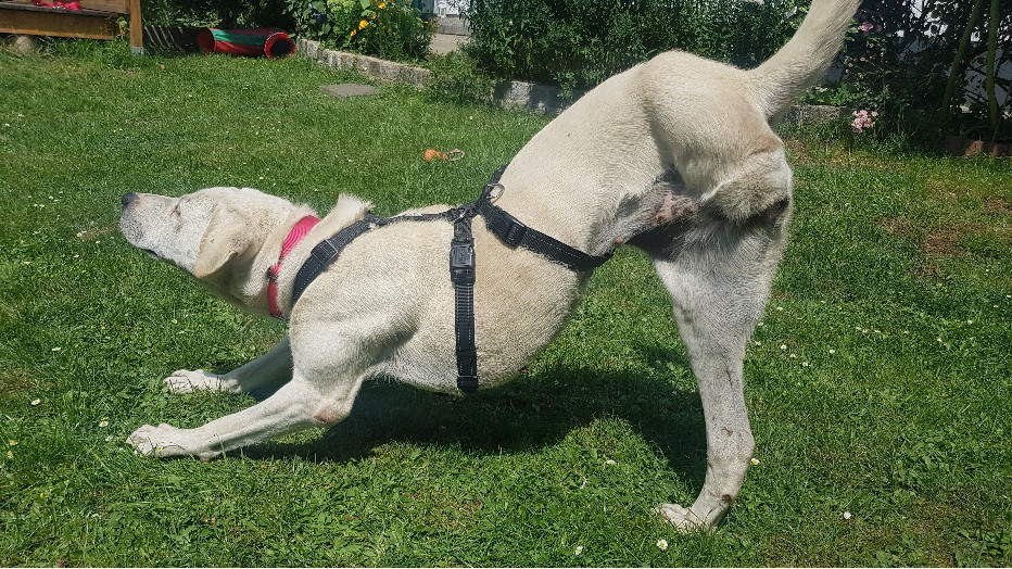 Lady  MM  1  Lady  MM  1