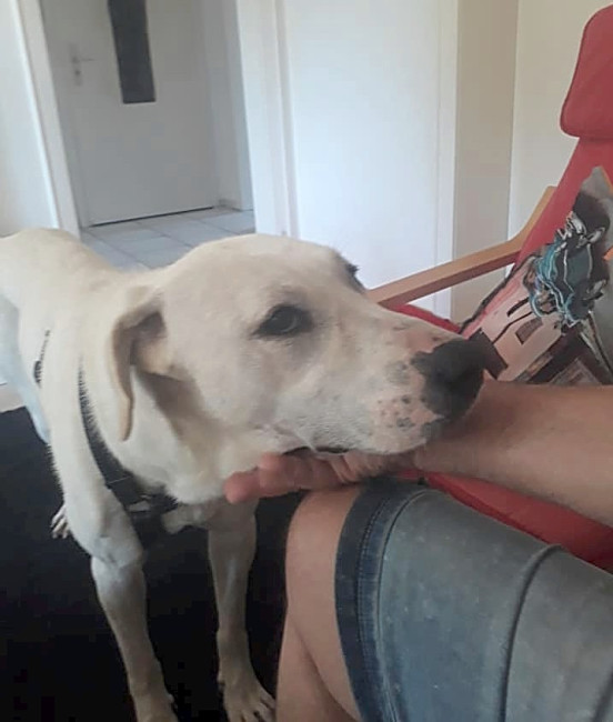 Lady  MM KE  4  Lady  MM KE  4